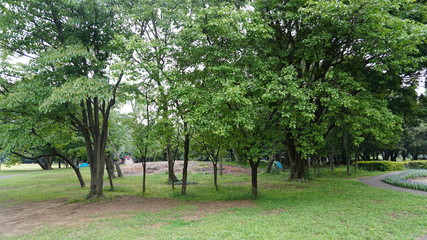 彩の森 入間公園