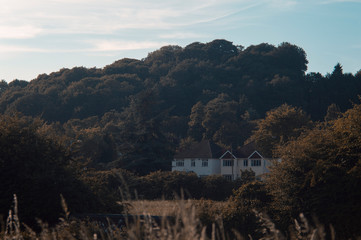 Houses in Landscape