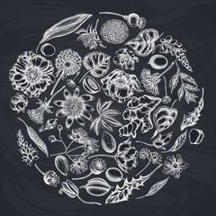 Round floral design with chalk almond, dandelion, ginger, poppy flower, passion flower, tilia cordata