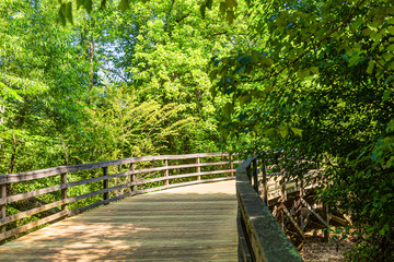 Obraz premium Curve in Bridge on a walking, running, biking and fitness trail through woodlands and wetlands in Georgia