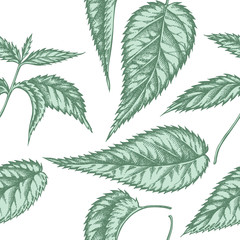 Seamless pattern with hand drawn pastel nettle