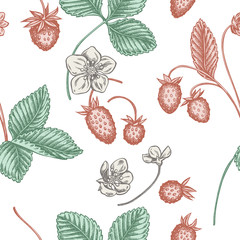 Seamless pattern with hand drawn pastel strawberry