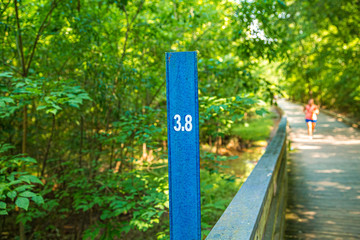 Runner Approaching 3.8 Mile Marker on Woodland Trail