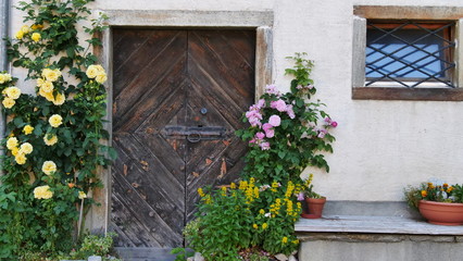 Old wooden  door and window window with roses