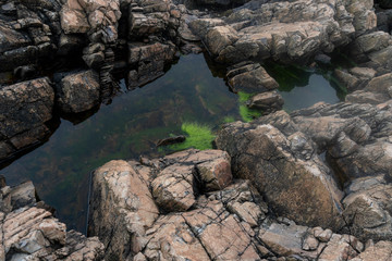 Ocean Rock