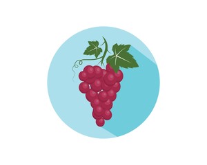 Grape fruits with leaf icon vector illustrtion