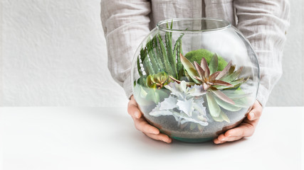 Woman's hands holding mini succulent garden in glass florarium