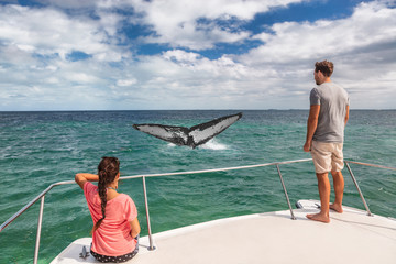 Whale watching boat tour tourists people on ship looking at humpback tail breaching ocean in...