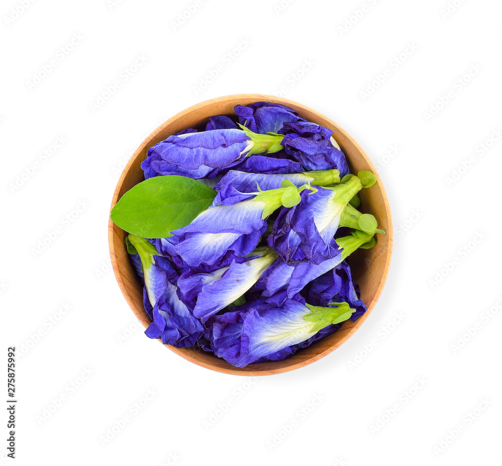 Wall mural butterfly pea on white background