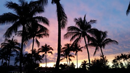 Fototapeta na wymiar Hawaiian Sunset