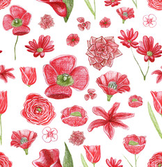   Hand drawn decorative seamless pattern with red flowers on white background. Illustration for posters, cards, t-shirts. 