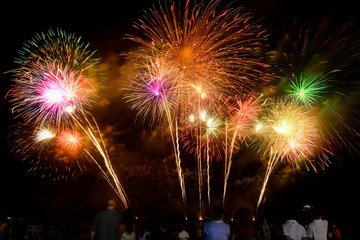 Colorful fireworks celebration and the night sky background.