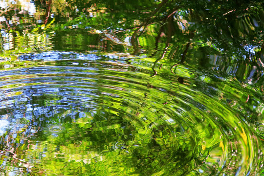 池の水面の波紋と緑の映り込み Stock 写真 Adobe Stock