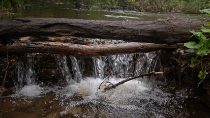 Forest mountain river in the Far East.