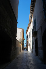 Fototapeta premium narrow street in spain