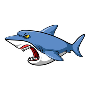 blue shark cartoon
