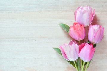 Tulip flowers on a wood background