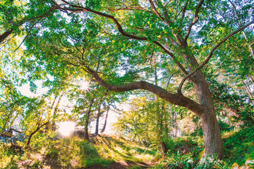 Sailing and rocky sunset beaches in the pacific north west with a lighthouse guiding the way through the Salish sea to Vancouver British Columbia Canada.