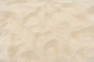 Sand texture background. Top view