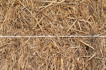 texture of fresh haystacks in closeap