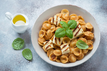 Orecchiette with sun dried tomato pesto, slices of grilled cheese, olive oil and fresh green basil, studio shot