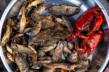 Close up and top view. Small fish fry and crap ripe in tray.