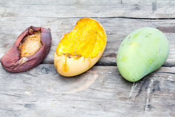 Mango stolen by squirrels or mice