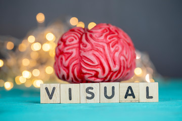 Visual Intelligence Concept. Brain - obrazy, fototapety, plakaty