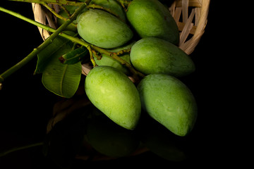 Close up Green Mangifera indica mango
