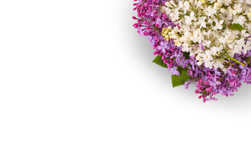 Fototapeta premium A handful of lilac flowers on a white isolated background with space for text