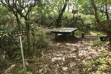 甲相国境尾根 モロクボ沢ノ頭