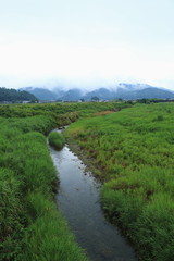 Fototapeta na wymiar 雨天の山から見える霧と川の風景