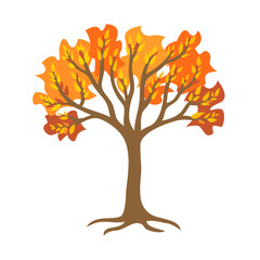 Naklejka na ściany i meble Autumn tree with roots. Vector illustration isolated on a white background.
