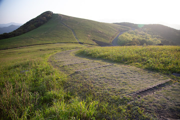 Fototapeta premium 草原