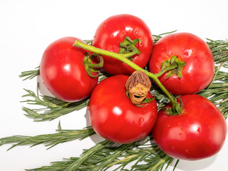 The smiling little man, object of artisanal art, talisman graven from peach pit, happy for a good harvest: tomatoes and rosemary. Background, macro