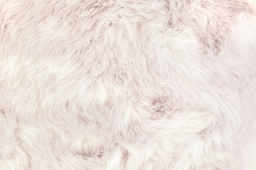 Texture of shaggy fur background. Detail of soft hairy skin material.