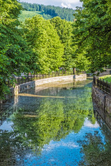 Fototapeta na wymiar Tree alley is reflected in the little river, Bytca, Slovakia