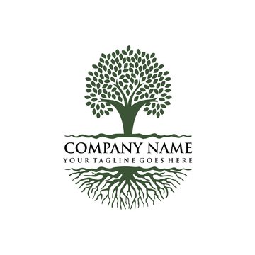 tree logo design concept
