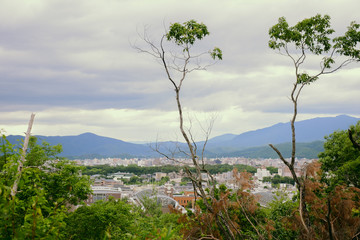 the nature of urban japan