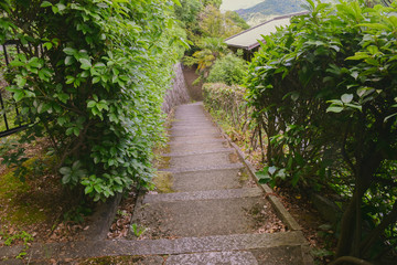 the nature of urban japan