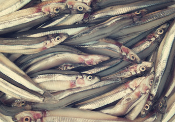 Fresh anchovies fish background