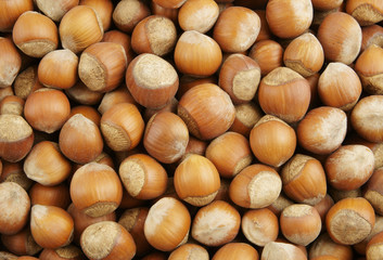 Hazelnuts texture