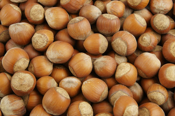 Hazelnuts as background