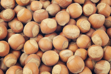 Hazelnuts background