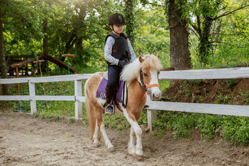 Caucasian girl with helmet and protective vest on riding cute white and brown pony horse. Sunny day...