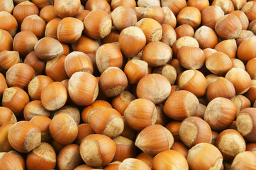 Hazelnuts background