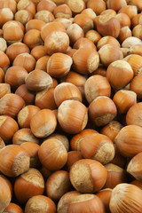 Hazelnuts background