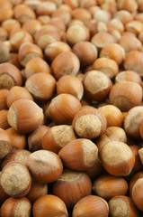 Hazelnuts as background