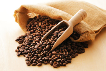 コーヒー豆　Coffee beans 