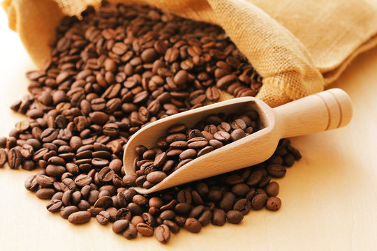 コーヒー豆　Coffee beans 